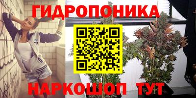 ECSTASY Краснознаменск