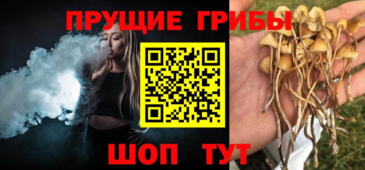 Псилоцибиновые грибы Psilocybine cubensis  Вход с VPN  Железноводск 